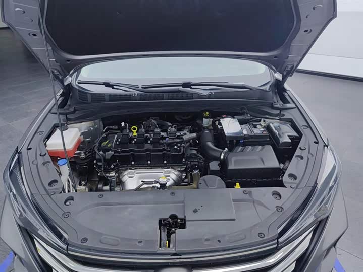 Фото 10 - Changan Eado Plus