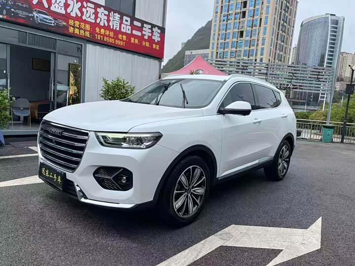 Фото 1 - Haval H6