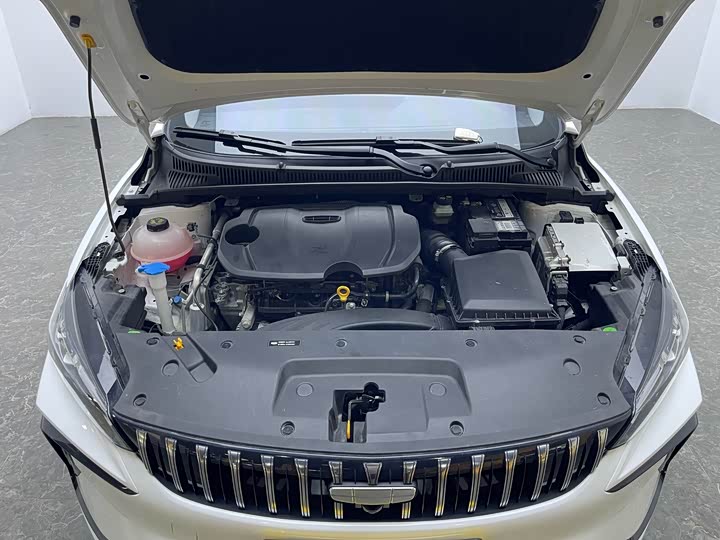 Фото 16 - Geely Binrui