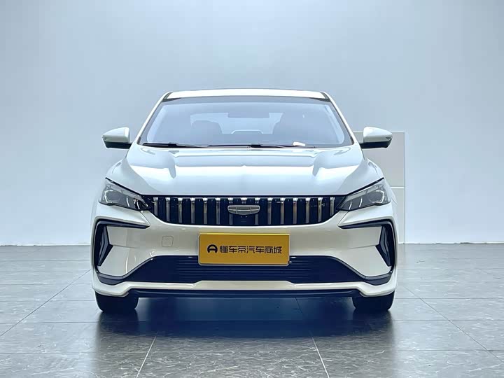 Фото 17 - Geely Binrui