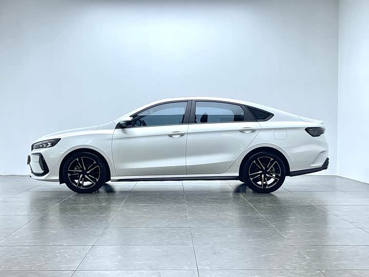 Фото 6 - Geely Binrui