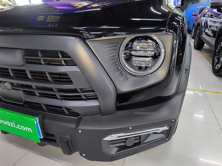 Фото 3 - Haval Dargo