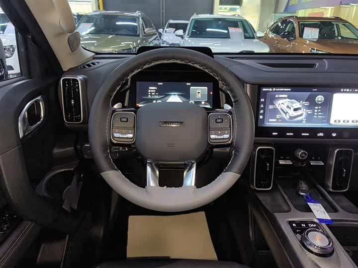 Фото 7 - Haval Dargo