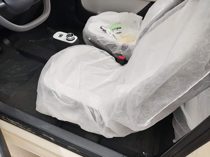 Фото 15 - Geely Galaxy Panda Mini