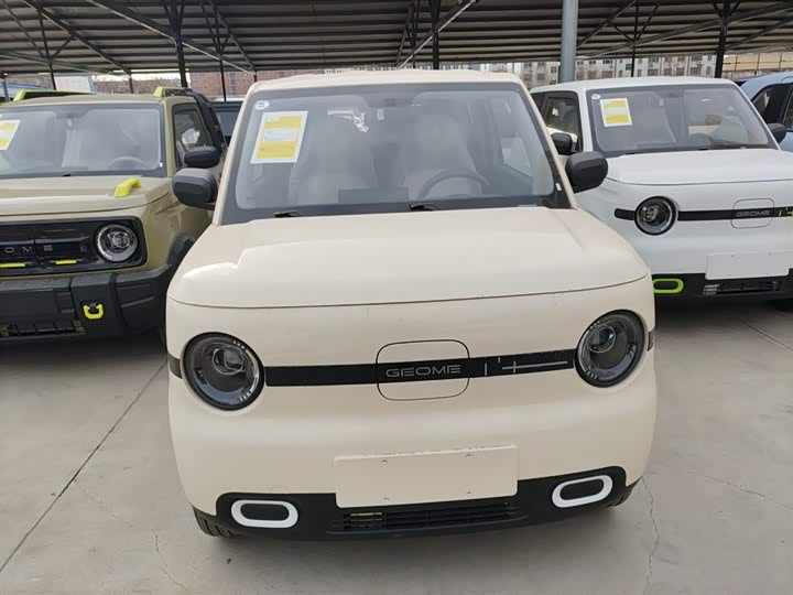 Фото 3 - Geely Galaxy Panda Mini