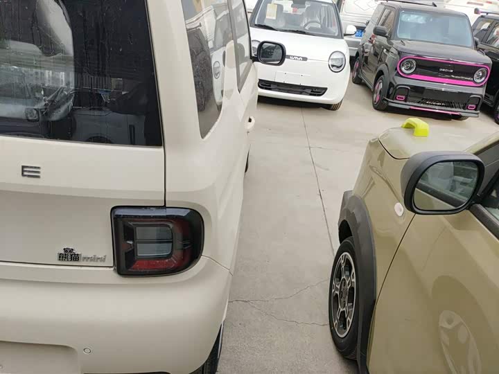 Фото 8 - Geely Galaxy Panda Mini