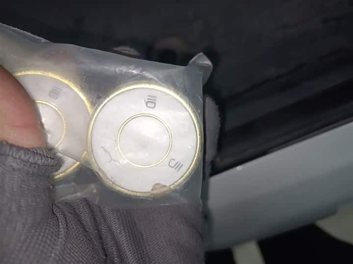 Фото 11 - Hozon L