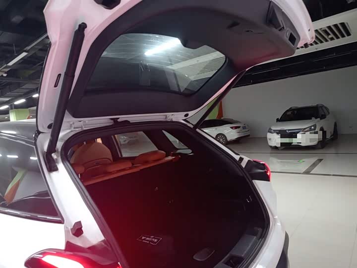 Фото 9 - Hozon L