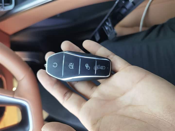 Фото 11 - BYD Han L