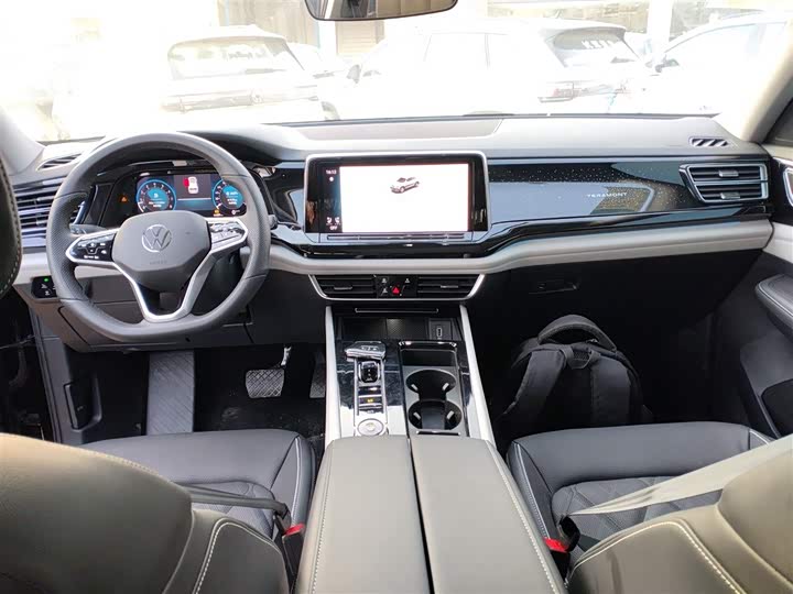 Фото 10 - Volkswagen Teramont Pro