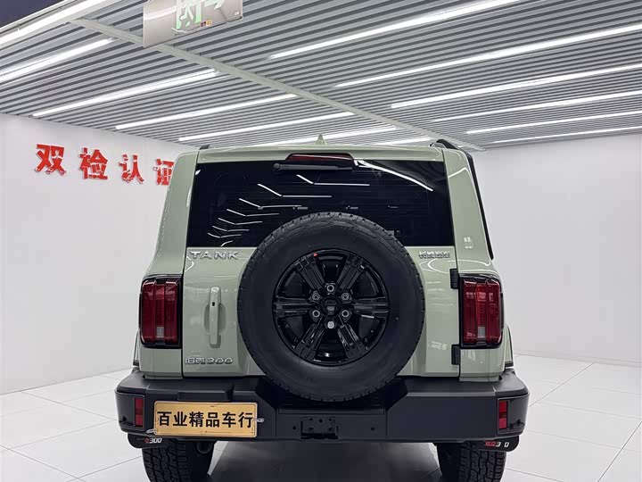 Фото 7 - Tank 300