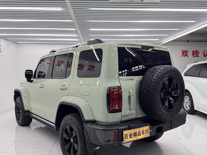 Фото 9 - Tank 300