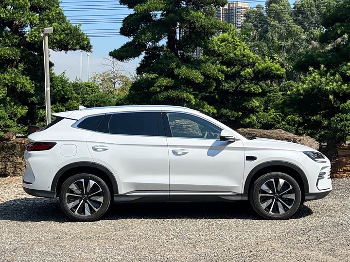 Фото 4 - BYD Song Plus Hybrid/EV