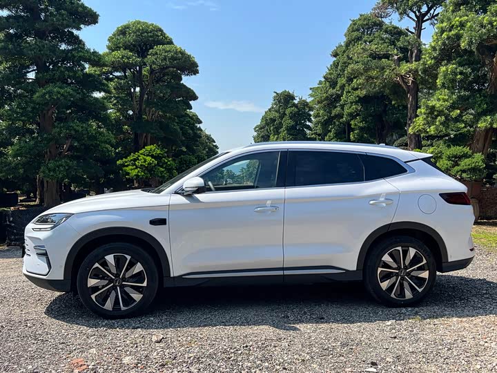 Фото 9 - BYD Song Plus Hybrid/EV