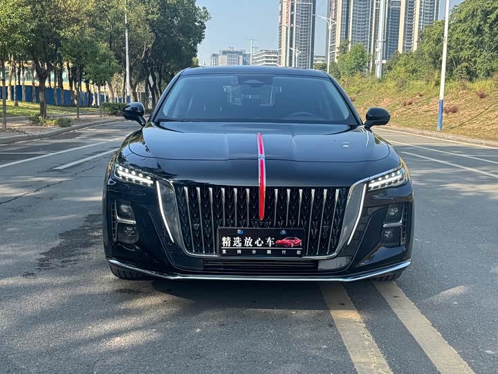 Фото 2 - Hongqi H5