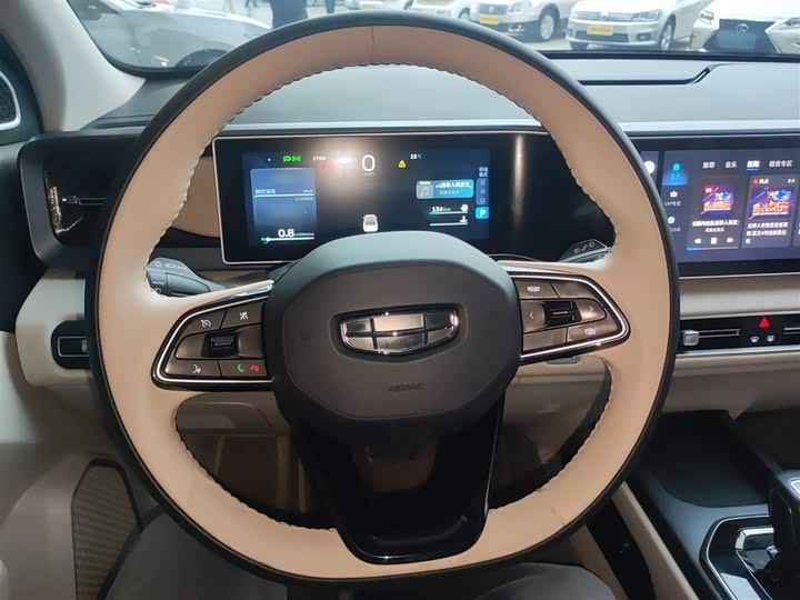 Фото 11 - Geely Icon