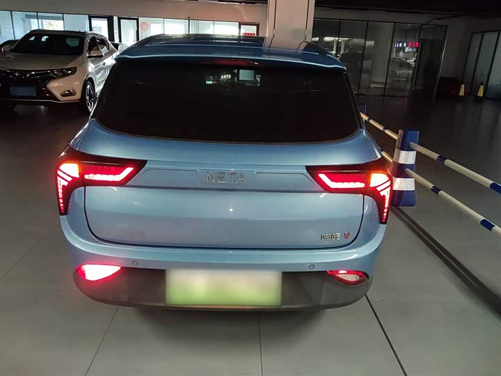 Фото 6 - Hozon V