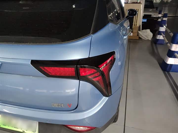 Фото 8 - Hozon V