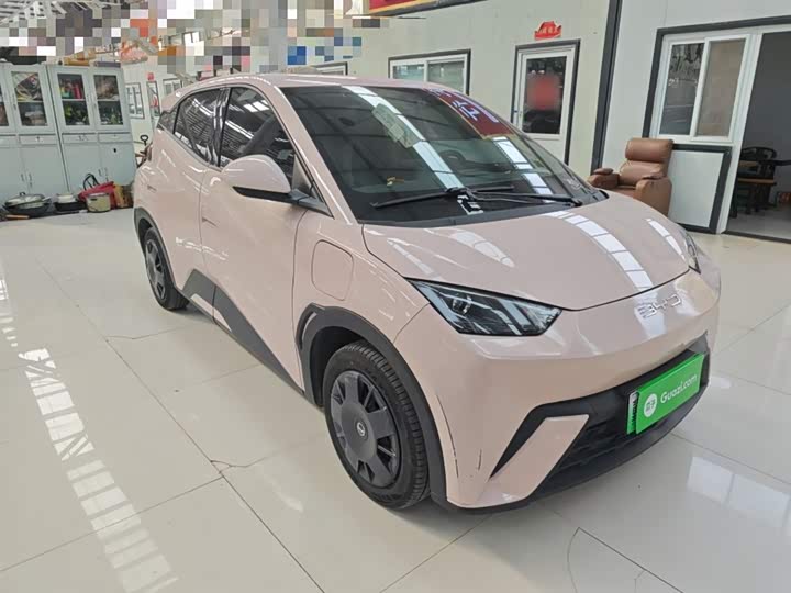 Фото 11 - BYD Seagull