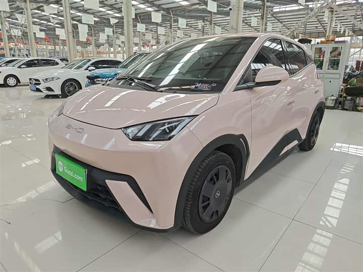 Фото 2 - BYD Seagull