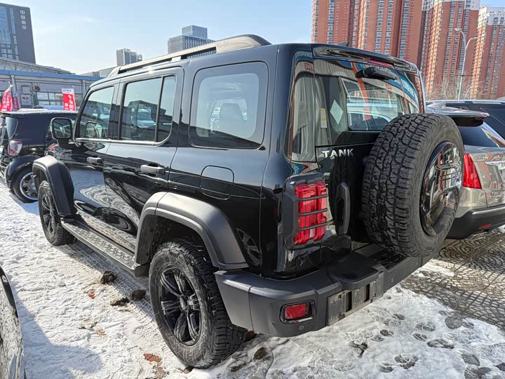 Фото 2 - Tank 300