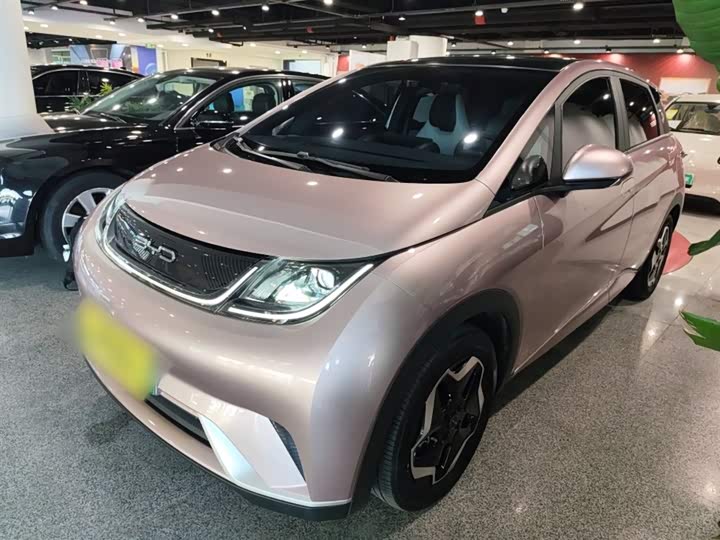 Фото 1 - BYD Dolphin