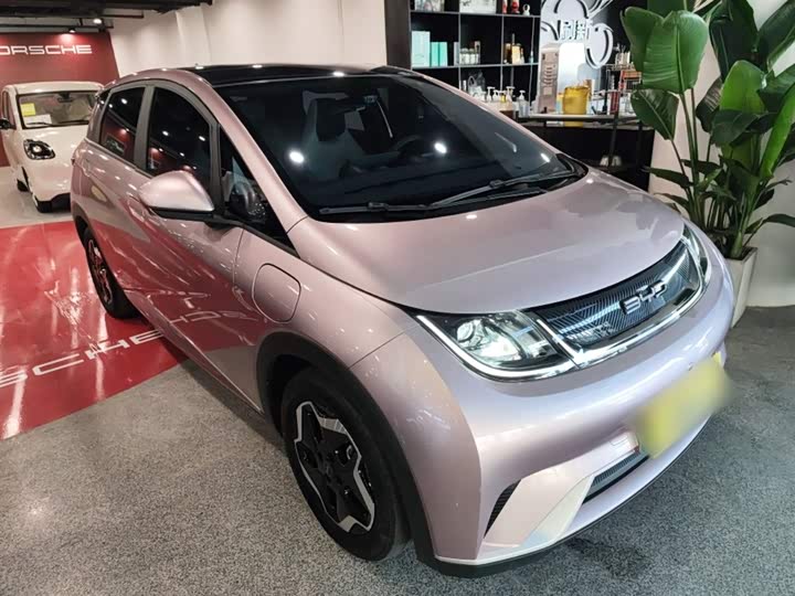 Фото 4 - BYD Dolphin