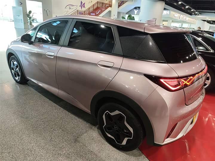 Фото 5 - BYD Dolphin