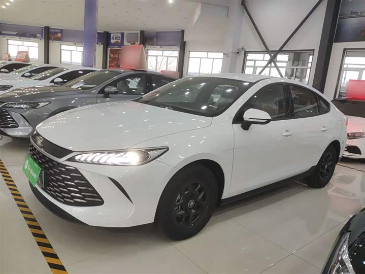 Фото 5 - BYD Qin Plus