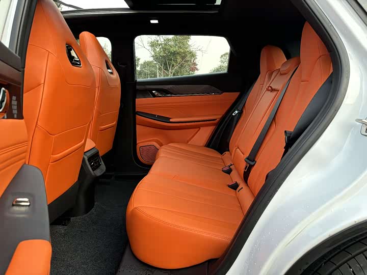 Фото 19 - Dongfeng Aeolus L7