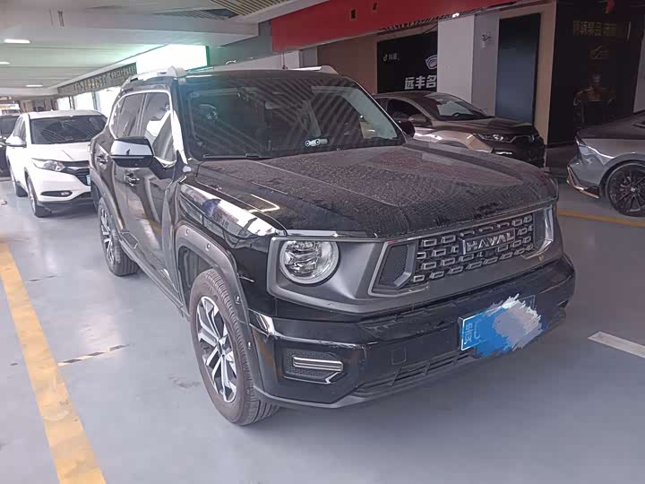 Фото 3 - Haval Dargo