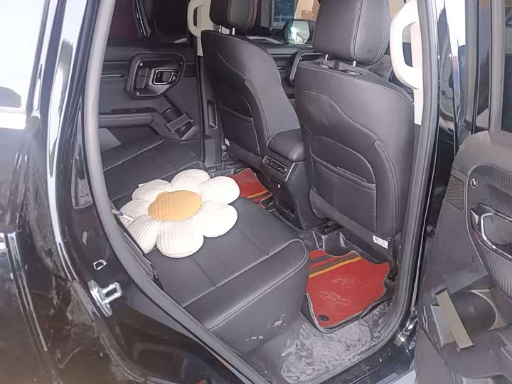 Фото 5 - Haval Dargo