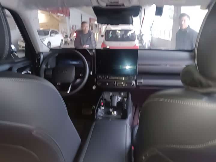 Фото 6 - Haval Dargo