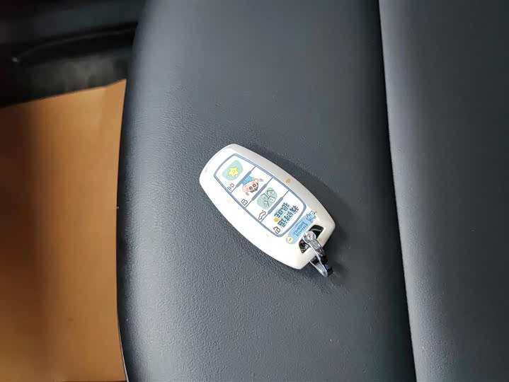 Фото 9 - Haval Chitu