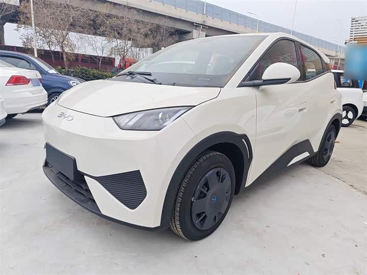 Фото 2 - BYD Seagull