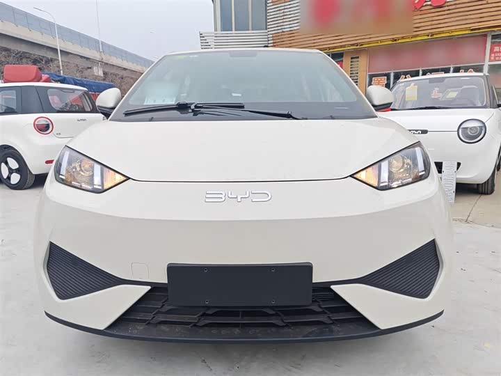 Фото 3 - BYD Seagull