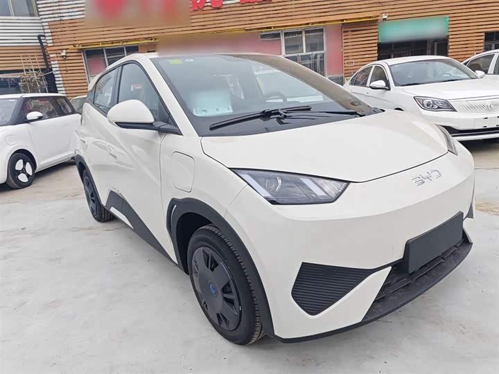 Фото 4 - BYD Seagull