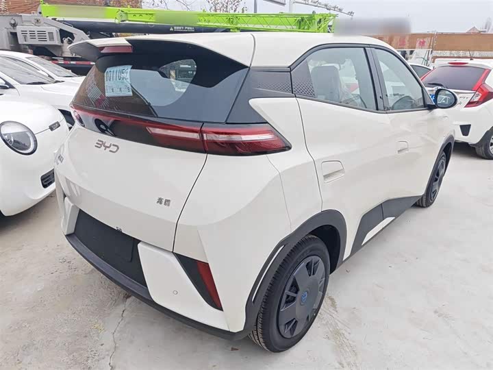 Фото 7 - BYD Seagull