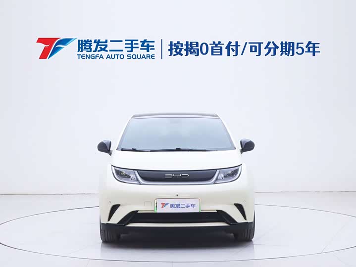 Фото 2 - BYD Dolphin