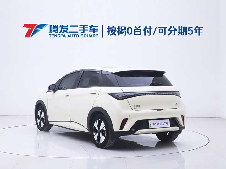 Фото 23 - BYD Dolphin