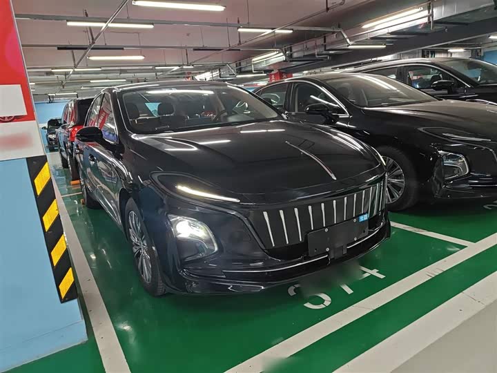 Фото 4 - Hongqi E-QM5