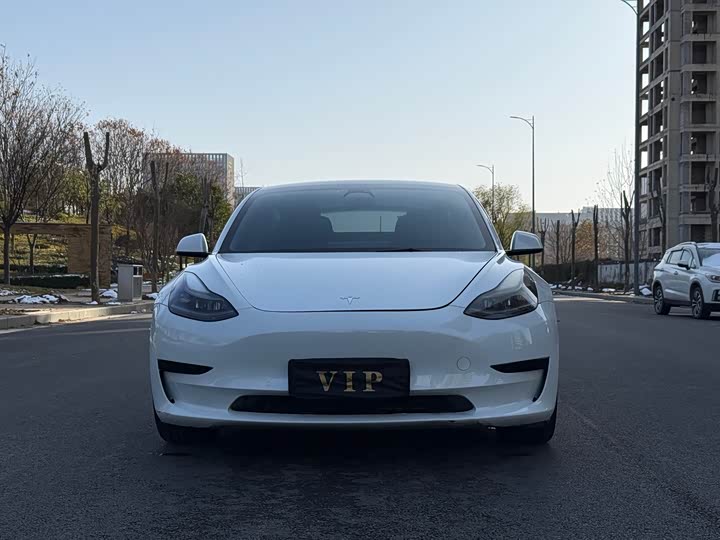 Фото 2 - Tesla Model 3