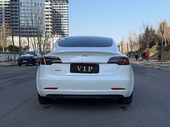 Фото 5 - Tesla Model 3