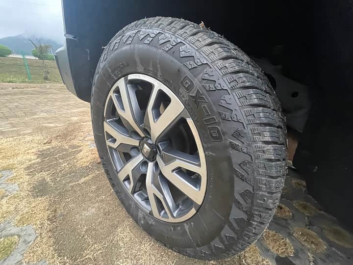 Фото 17 - Tank 300