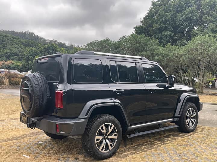 Фото 21 - Tank 300