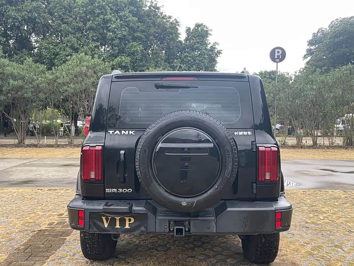 Фото 25 - Tank 300