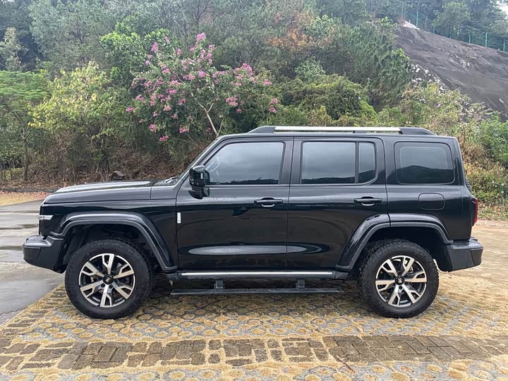 Фото 26 - Tank 300