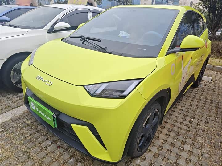 Фото 2 - BYD Seagull