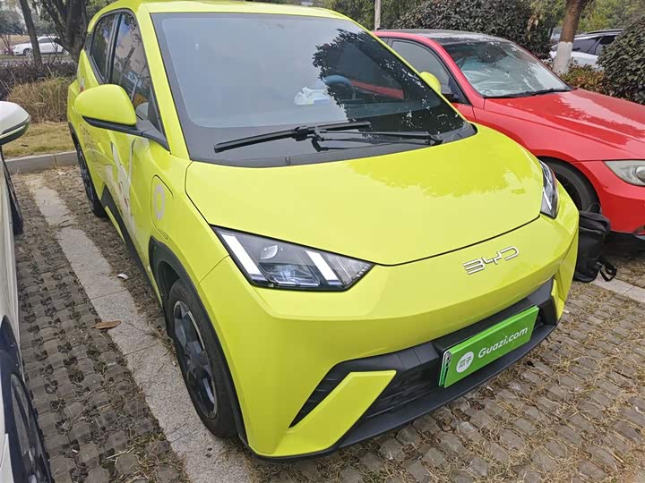 Фото 4 - BYD Seagull