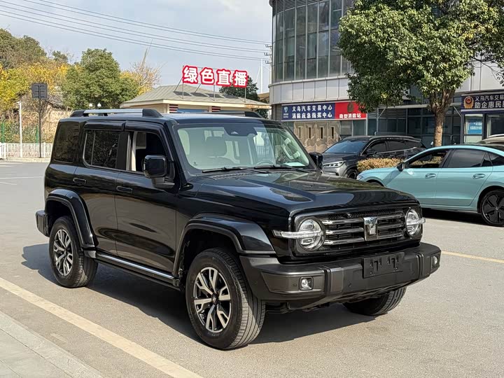 Фото 3 - Tank 300